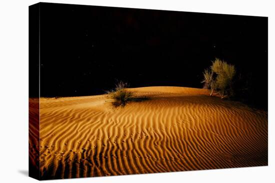 Night in the desert. Abu Dhabi, UAE.-Tom Norring-Premier Image Canvas