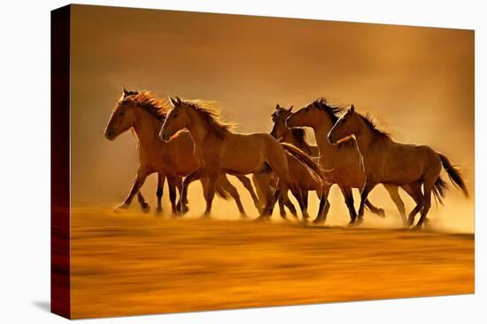 Night Runners-Lisa Dearing-Premier Image Canvas