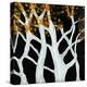 Night Shade Bloom-Brent Abe-Premier Image Canvas