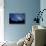 Night Sky-David Nunuk-Premier Image Canvas displayed on a wall