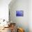 Night Sky-Margaret Coxall-Premier Image Canvas displayed on a wall