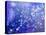 Night Sky-Margaret Coxall-Premier Image Canvas