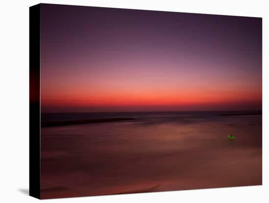 Night Surfer-Josh Adamski-Premier Image Canvas