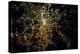 Night time satellite image of Berlin, Germany-null-Premier Image Canvas