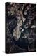 Night time satellite image of Charleston, South Carolina, USA-null-Premier Image Canvas