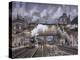 Night Train To Edinbourough-Stanton Manolakas-Premier Image Canvas