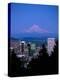 Night View of Downtown and Mt Hood, Portland, Oregon, USA-Janis Miglavs-Premier Image Canvas