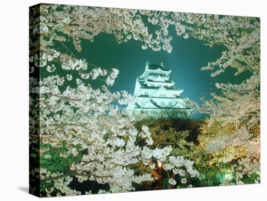 Night View of Osaka Castle & Cherry Blossoms, Japan-null-Premier Image Canvas