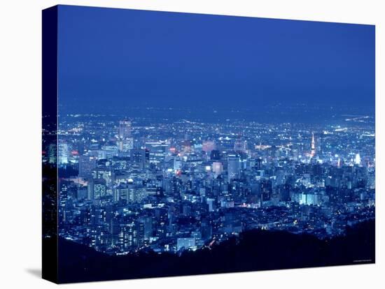 Night View of Sapporo-null-Premier Image Canvas