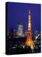 Night View of Tokyo Tower-null-Premier Image Canvas