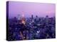 Night View of Tokyo Tower-null-Premier Image Canvas