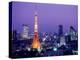 Night View of Tokyo Tower-null-Premier Image Canvas