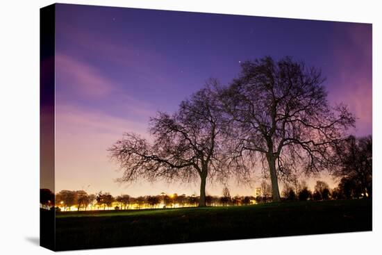 Nightime in Hyde Park, London-Alex Saberi-Premier Image Canvas