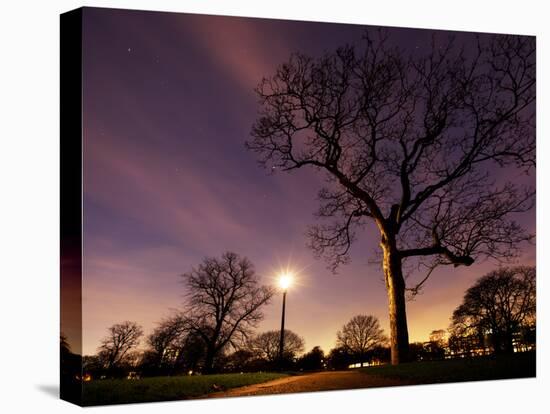 Nightime in Hyde Park, London-Alex Saberi-Premier Image Canvas