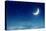 Nightly Sky with Moon and Stars-egal-Premier Image Canvas