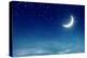 Nightly Sky with Moon and Stars-egal-Premier Image Canvas