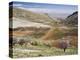 Niha, Bekaa Valley, Lebanon-Ivan Vdovin-Premier Image Canvas