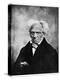 Nihilism: Arthur Schopenhauer, German Philosopher, 19th Century-null-Premier Image Canvas