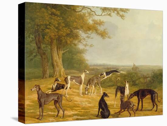 Nine Greyhounds in a Landscape-Jacques-Laurent Agasse-Premier Image Canvas