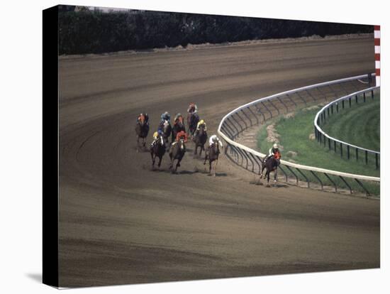 Nine Race Horses-null-Premier Image Canvas