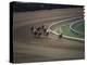 Nine Race Horses-null-Premier Image Canvas