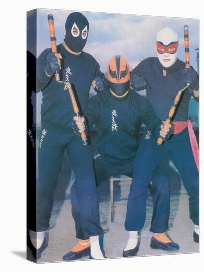 Ninja Mexican Wrestlers with Nunchuks-null-Stretched Canvas