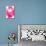 Nirvana: A Pink Flower Becomes a Pink Wind-Masaho Miyashima-Premier Image Canvas displayed on a wall