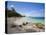 Nisbett Plantation Beach, Nevis, Caribbean-Greg Johnston-Premier Image Canvas