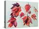 No.24 Autumn Maple Leaves-Izabella Godlewska de Aranda-Premier Image Canvas