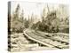 No. Camp, C.H. Clemons Logging Co, Melbourne, WA, 1918-Clark Kinsey-Premier Image Canvas