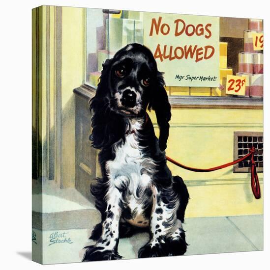 "No Dogs Allowed," August 24, 1946-Albert Staehle-Premier Image Canvas