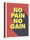 No Pain No Gain-null-Stretched Canvas