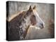 No Sharing Horse-Jai Johnson-Premier Image Canvas