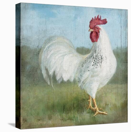 Noble Rooster I  Vintage No Border-Danhui Nai-Stretched Canvas