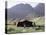 Nomad Tents, Lar Valley, Iran, Middle East-Desmond Harney-Premier Image Canvas