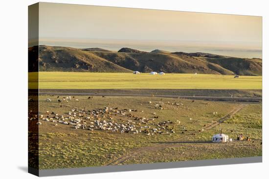 Nomadic camp and livestock, Bayandalai district, South Gobi province, Mongolia, Central Asia, Asia-Francesco Vaninetti-Premier Image Canvas
