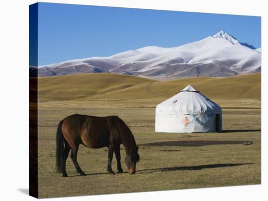 Nomads Horse and Yurt, Bayanbulak, Xinjiang Province, China, Asia-Christian Kober-Premier Image Canvas