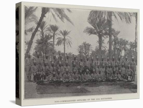 Non-Commissioned Officers of the 11th Soudanese-null-Premier Image Canvas