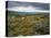 Norber Erratics Near Austwick, Yorkshire Dales National Park, Yorkshire, England, UK-Patrick Dieudonne-Premier Image Canvas