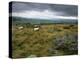 Norber Erratics Near Austwick, Yorkshire Dales National Park, Yorkshire, England, UK-Patrick Dieudonne-Premier Image Canvas