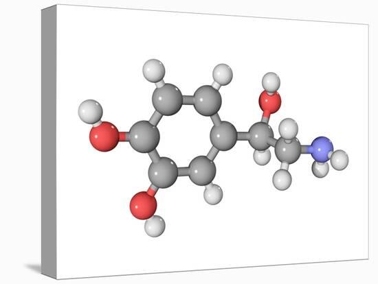 Norepinephrine Neurotransmitter Molecule-Laguna Design-Premier Image Canvas