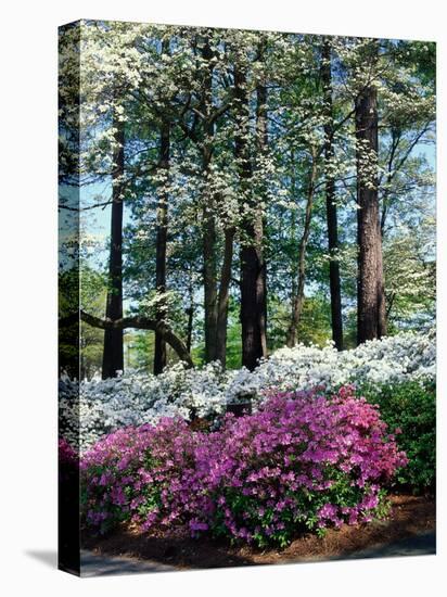Norfolk Botanical Gardens, VA-Barry Winiker-Premier Image Canvas