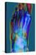 Normal Foot, X-ray-Du Cane Medical-Premier Image Canvas