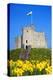 Norman Keep and daffodils, Cardiff Castle, Cardiff, Wales, United Kingdom, Europe-Billy Stock-Premier Image Canvas