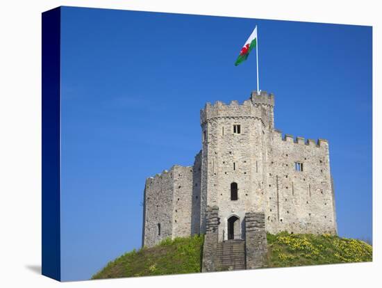 Norman Keep, Cardiff Castle, Cardiff, South Wales, Wales, United Kingdom, Europe-Billy Stock-Premier Image Canvas