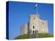 Norman Keep, Cardiff Castle, Cardiff, South Wales, Wales, United Kingdom, Europe-Billy Stock-Premier Image Canvas