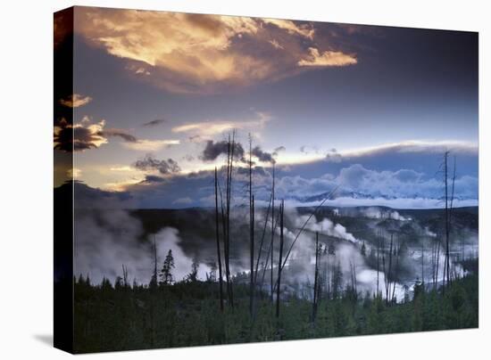 Norris Geyser basin with steam plumes from geysers, Yellowstone National Park, Wyoming-Tim Fitzharris-Stretched Canvas