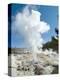 Norris Geysers, Yellowstone National Park, Unesco World Heritage Site, Wyoming, USA-Ethel Davies-Premier Image Canvas