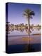 North Africa, Algeria, Sahara, Oasis, Date Palms-Thonig-Premier Image Canvas