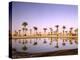 North Africa, Algeria, Sahara, Oasis, Date Palms-Thonig-Premier Image Canvas